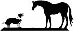 Large Border Collie Dog & Horse Weathervane or Sign Profile - Laser cut 550mm